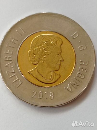 Монета 2 доллара Канады. Медведь