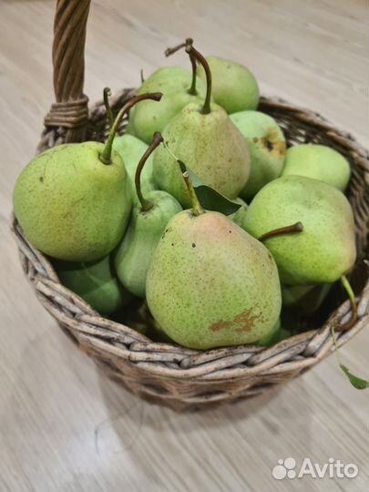 Яблоки и груши