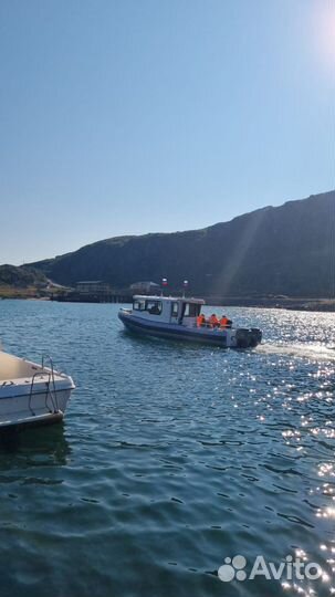 Морская прогулка за китами Териберка