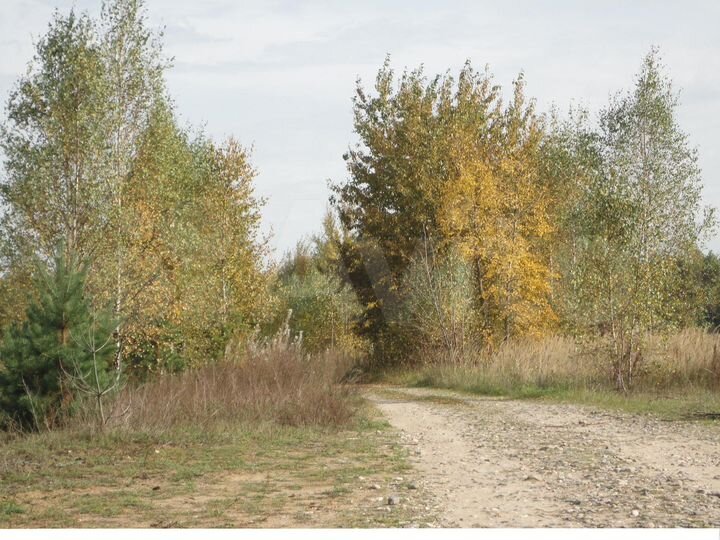 Участок 50 сот. (СНТ, ДНП)