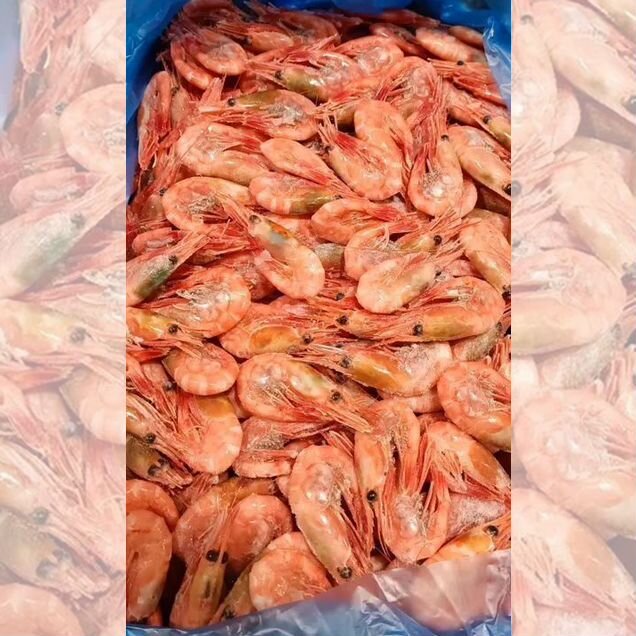 Креветки северные, 5 кг