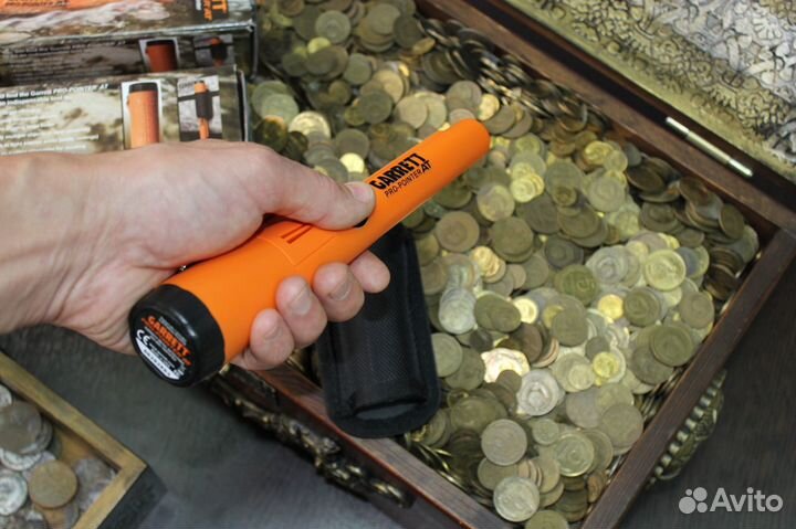 Пинпоинтер garrett PRO-pointer AT морковь в Твери