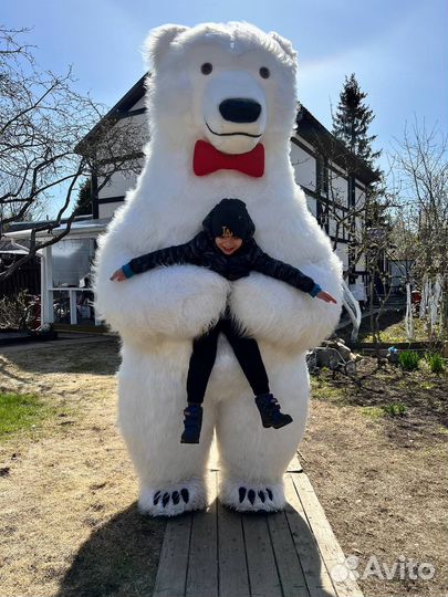 Ростовой медведь