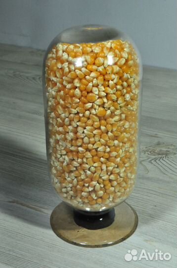 Царское учебное пособие:кукуруза, Лесной Институт