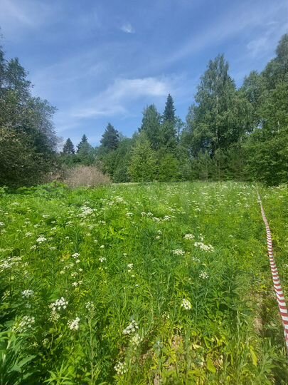 Участок 25 сот. (ИЖС)