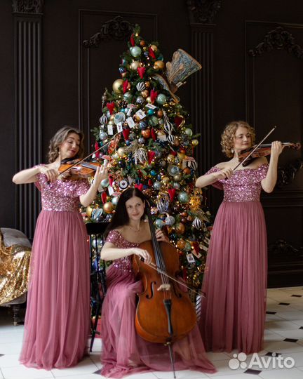 Музыканты на мероприятие