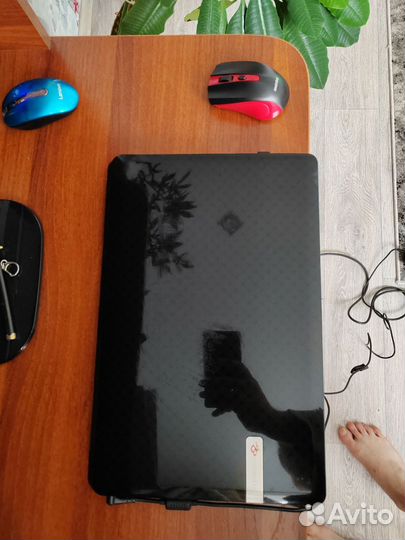 Ноутбук packard bell