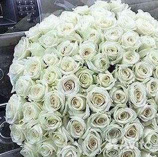Розы Цветы Букеты 25 51 151 201 101 301 501 опт