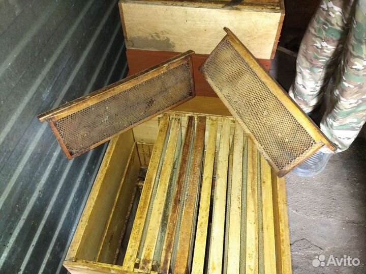 Сушь полурамки 145