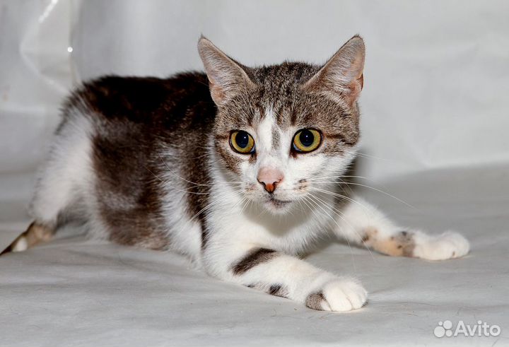 Нежная скромница ищет свое счастье