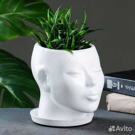 Кашпо - органайзер 