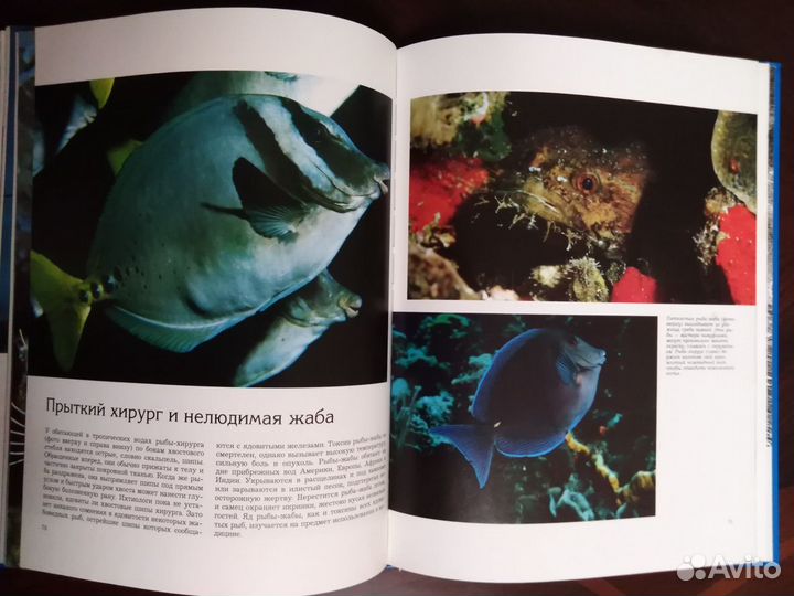 Мир животных