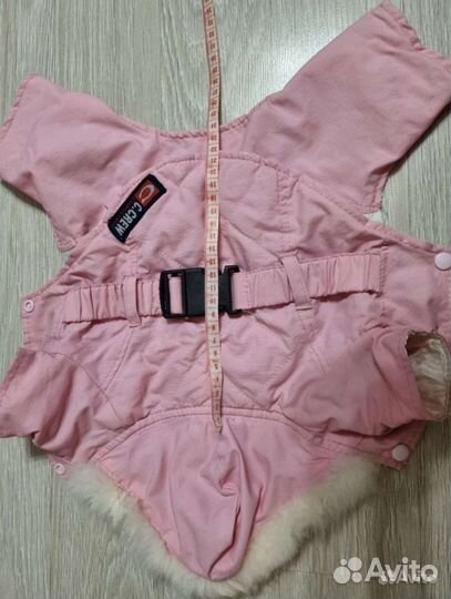 Одежда для маленьких собак