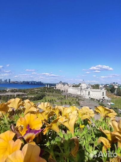 Гид по Казани экскурсовод индивидуальные экскурсии