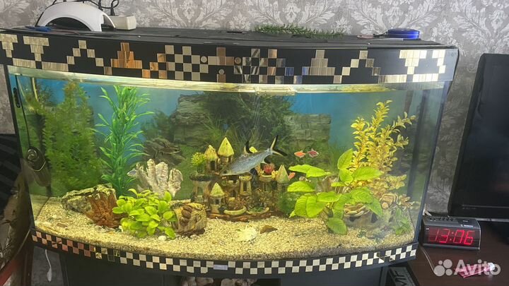 Аквариум