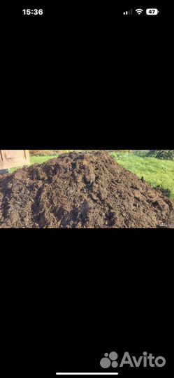 Навоз бесплатно загрузим самовывоз