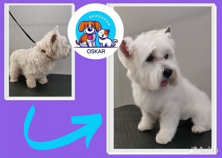 Груминг/стрижка/вычёсывание/купание кошек и собак