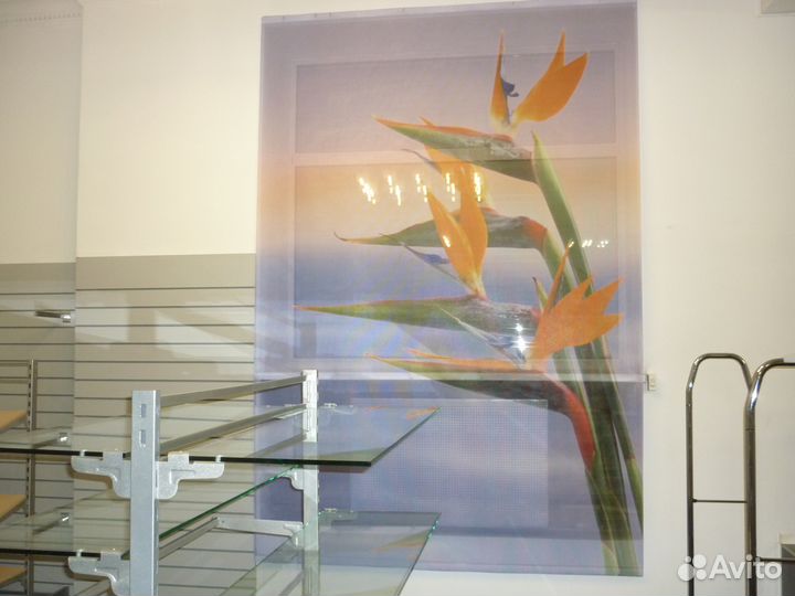 Стекла дизайнерские закаленные (Италия)