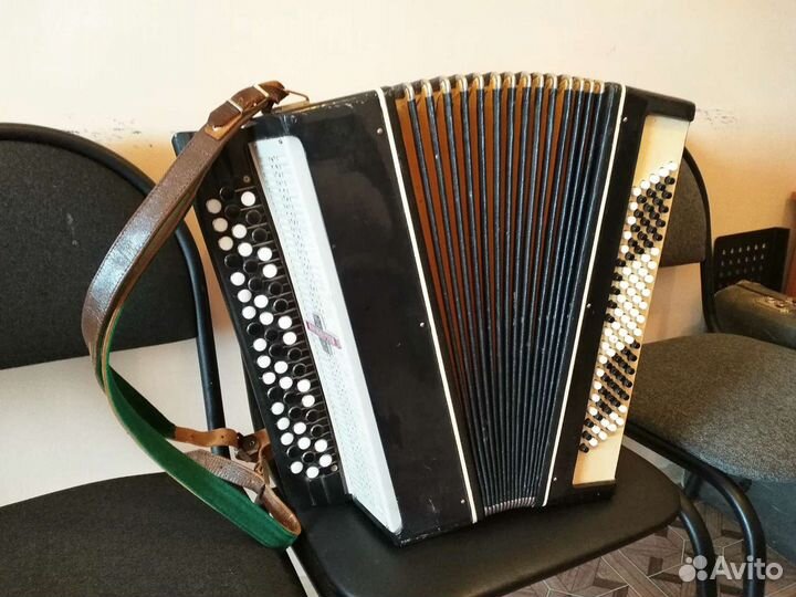 Баян, Молодечно