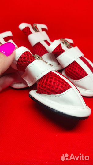 Ботинки для собак