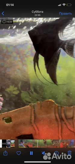 Аквариум 20 л