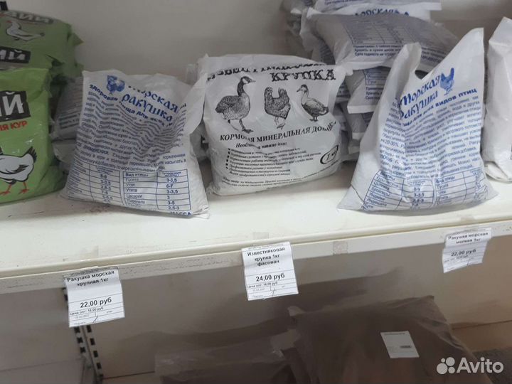 Ракушка кормовая