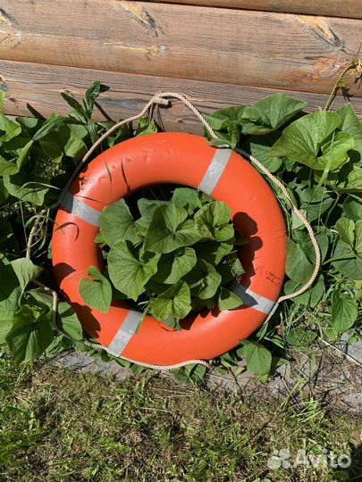 Спасательный круг- элемент декора