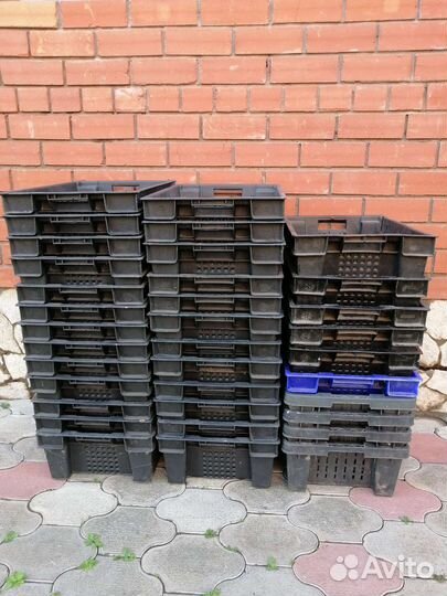 Ящик овощной