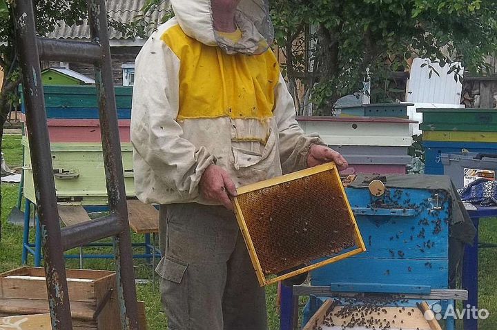 Мед разнотравье