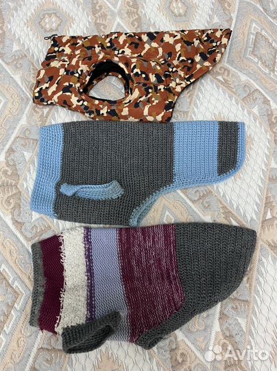 Одежда для маленьких пород собак