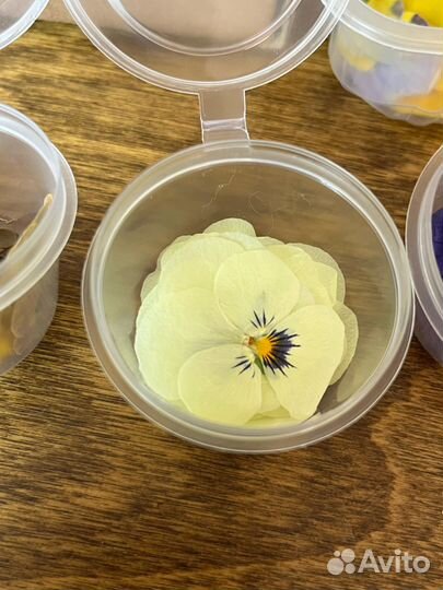 Сухоцветы виол, съедобные цветы