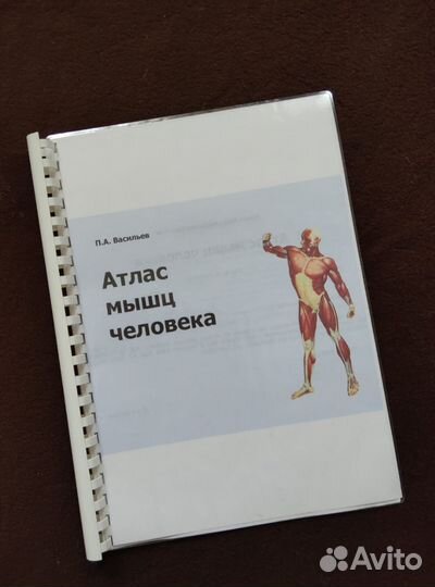 Книги по Анатомии