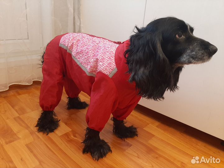 Комбинезон дождевик для средней собаки