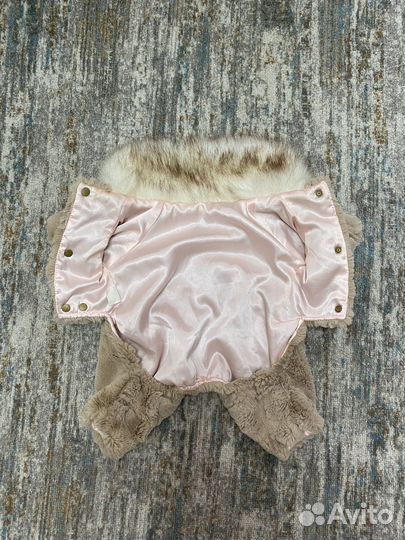 Одежда для собак мелких пород