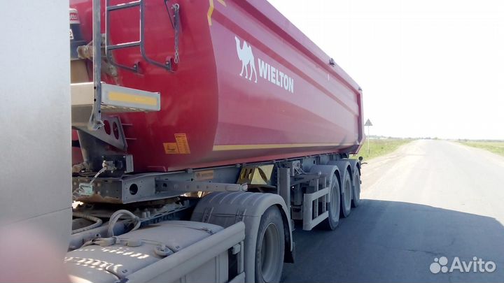 Полуприцеп самосвальный WIELTON NW 3, 2018