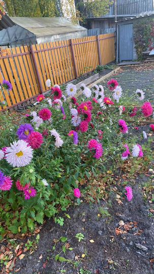 Дача 45 м² на участке 5,5 сот.