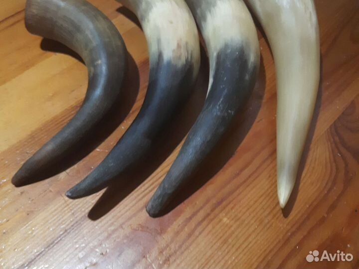 Изделие из рога