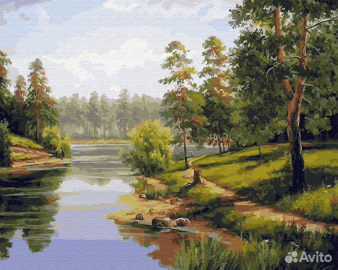 Картины по номерам 40х50 см 