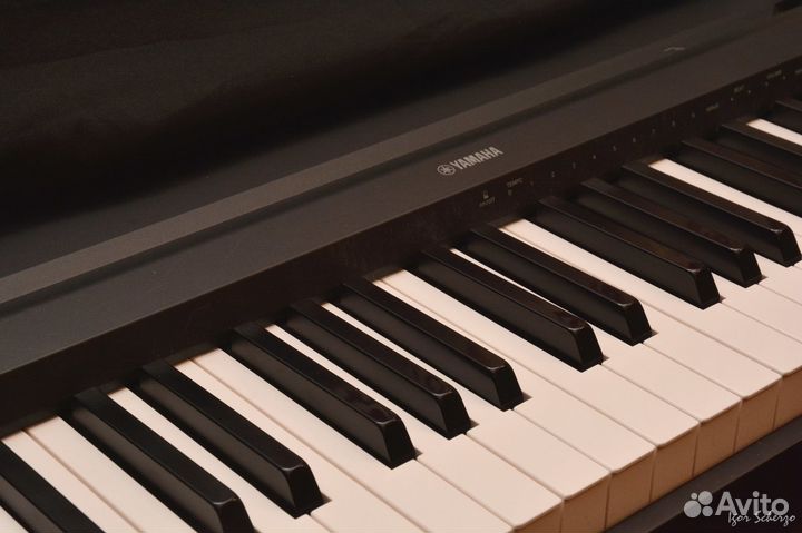 Уроки гитары и фортепиано