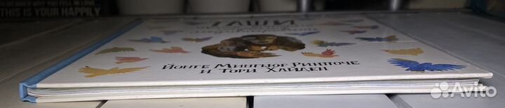 Таши щенок, который научился медитировать