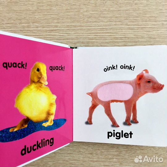 Тактильные книги для малышей на английском языке