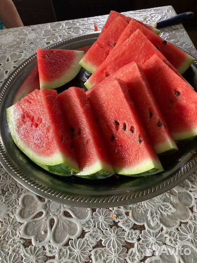 Арбузы суходол