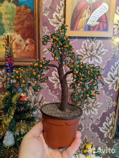 Апельсиновое дерево