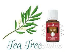 Эфирное масло Чайное дерево
