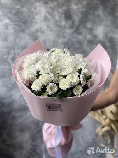 Хризантема, кустовая хризантема букет