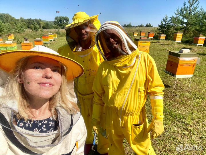 Инвестируйте в продукты питания от 50 годовых