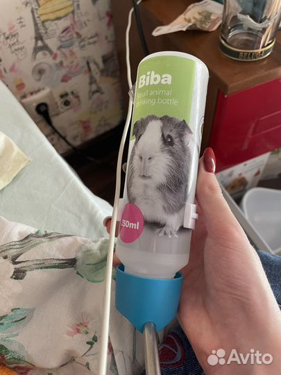 Товары для грызунов