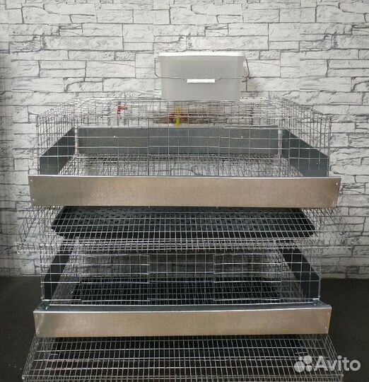 Клетки для перепелов