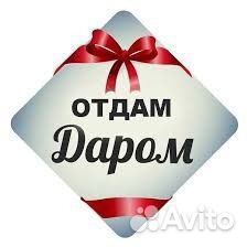 Женская одежда пакетом 44 46