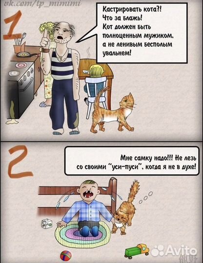 Кот Пират